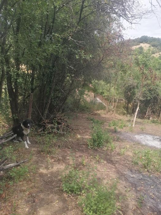 Продава се Парцел в Елин Пелин - 581 кв.м за 29 €/кв.м - Снимка #7