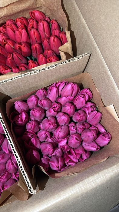 Тюльпаны с оформлением 700 тг.