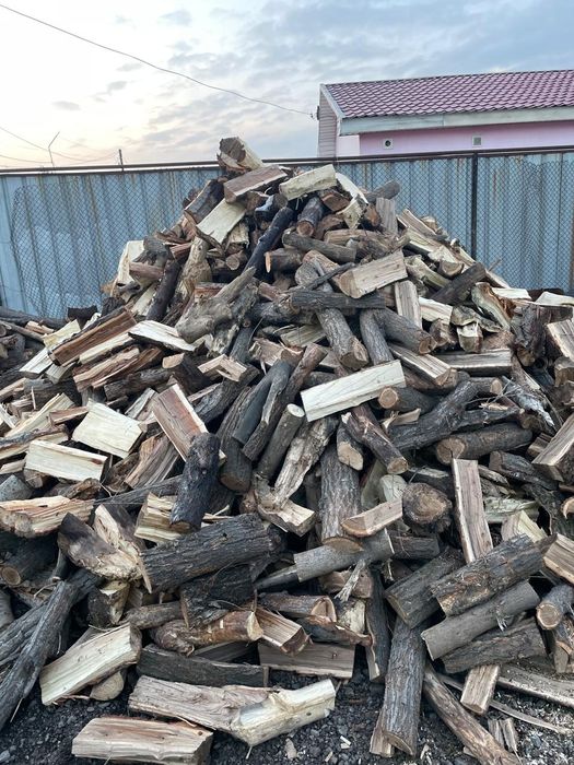 Дрова карагач продаю