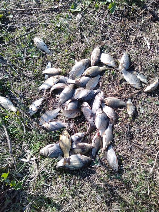 Участок, времянке, гараж, бокс, дача