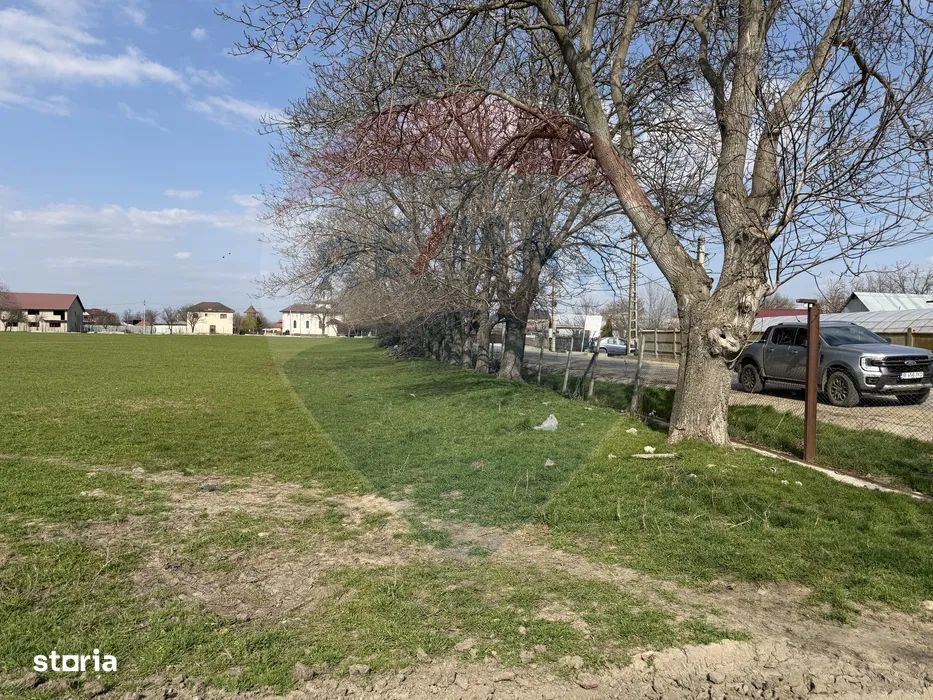Teren 500 h plus 1000h arenda Vrancea