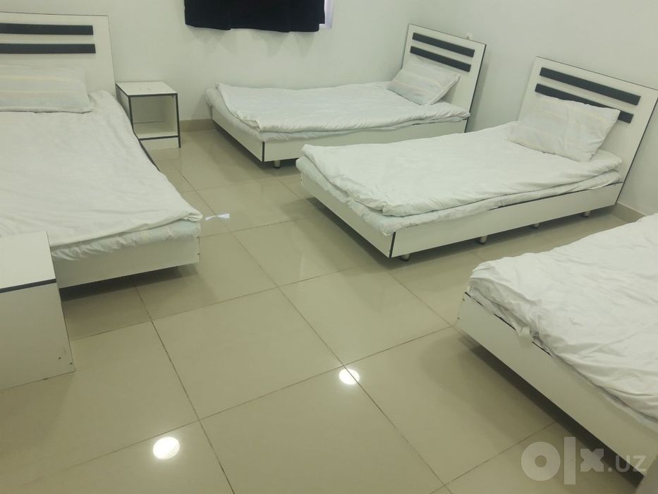 Hostel Hotel Xotel xostel хотел gostinsa kvartira квартира mehmonxona