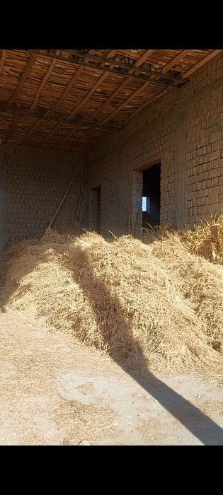 Беда,маккаи сотилади