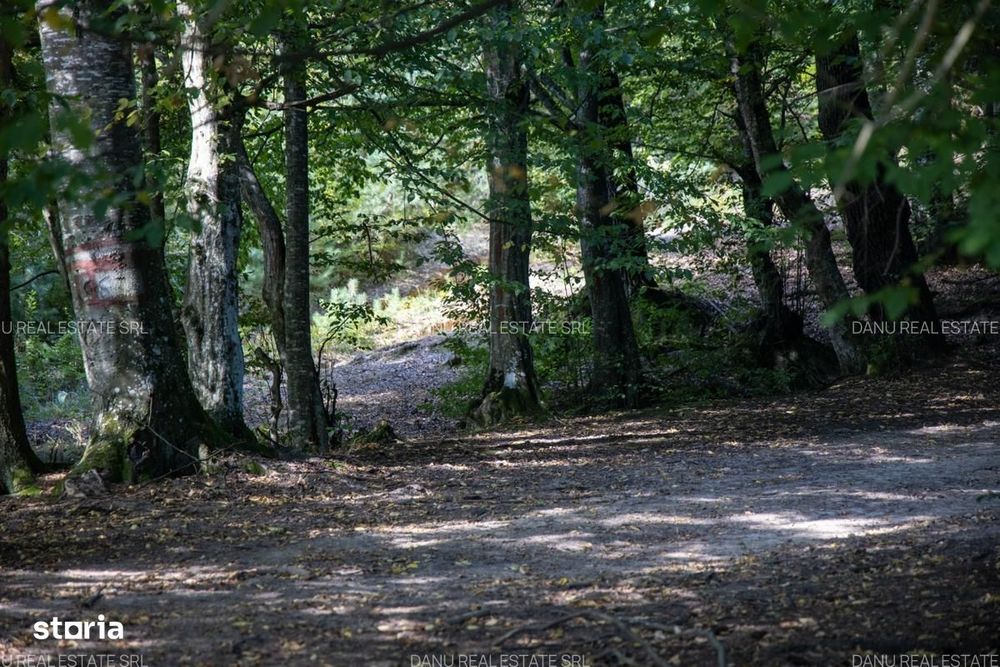 Teren intravilan 3.300 mp cu vedere către lac – Vulcan, zona lacurilor