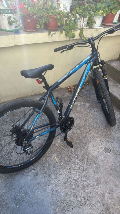 Interbike lion 29