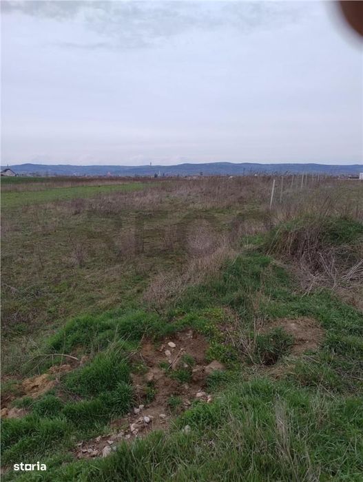 RECO Teren intravilan, Livada de Bihor