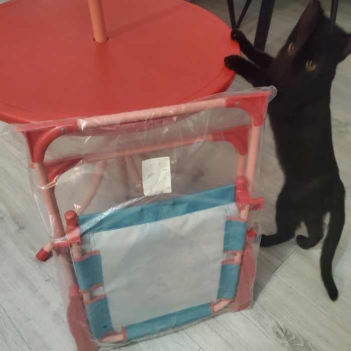 Frozen, set camping cu masuta, umbrelq si scaun. Doar masa a fost fol