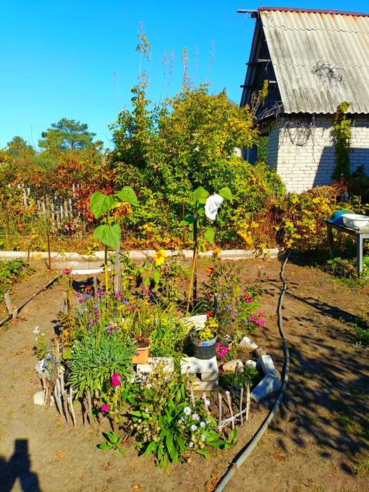 Дача в Мелиораторе