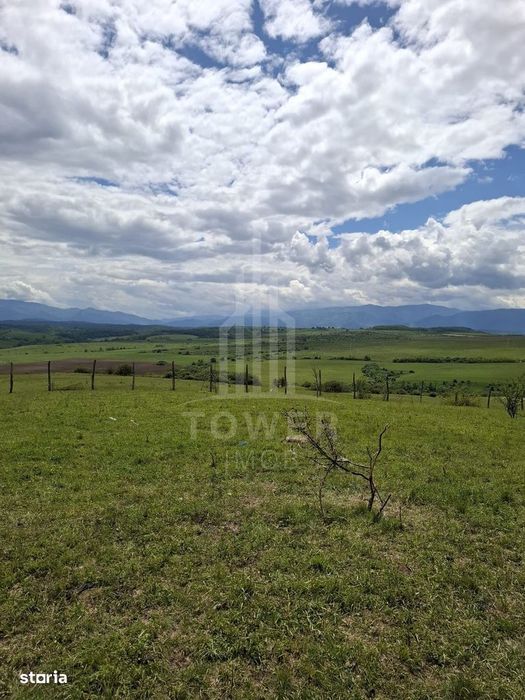De vanzare, teren 11.500 mp – Dealul Dăii,  Vedere panoramică spre mun