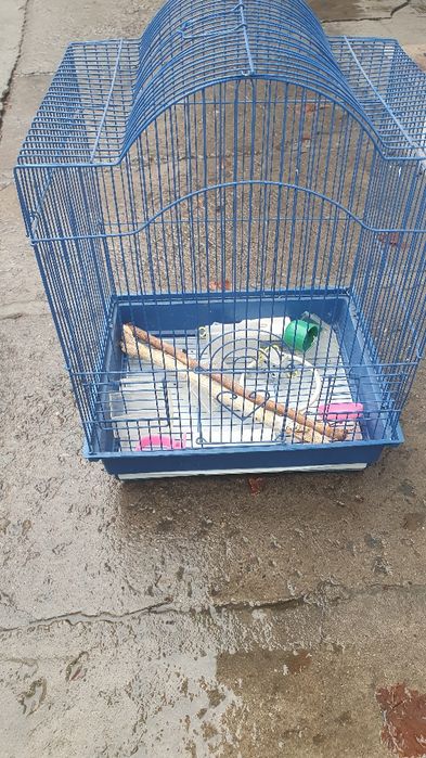 Продам домик для попугая