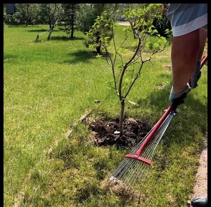 Обслуживание территории вашего сада