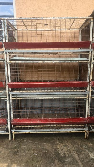 Клетка для перепелов бодене