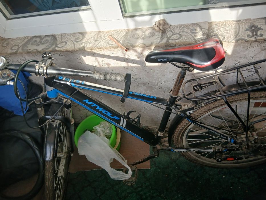 Vesoliped ozgina aybi bor