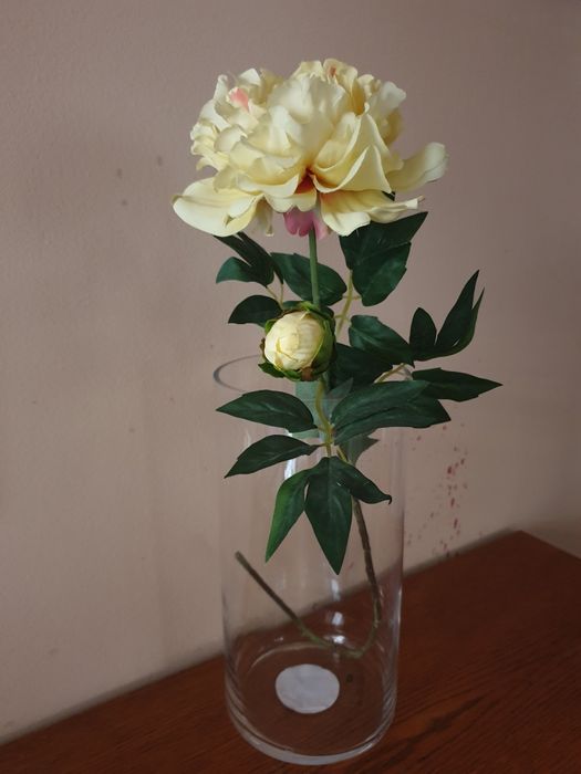 Две стъклени вази