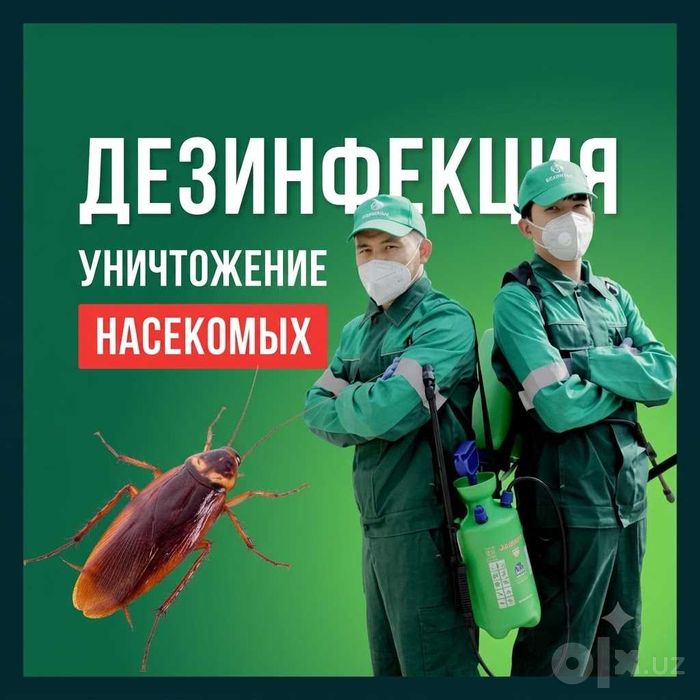 Dezinfeksiya klapa | Дезинфекция тараканов | Клопы | Kafolat 1 yil
