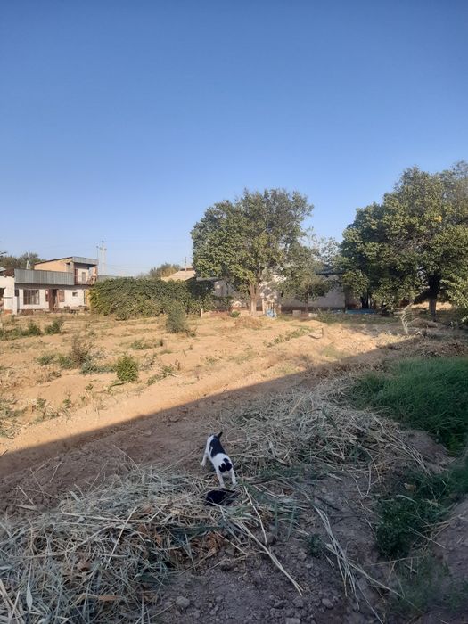 Продам дом в ст Бадам