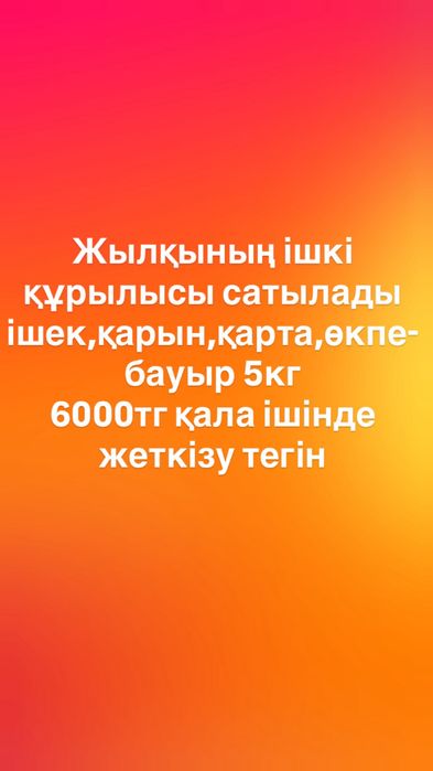 Жылқының ішкі құрылысы сатылады