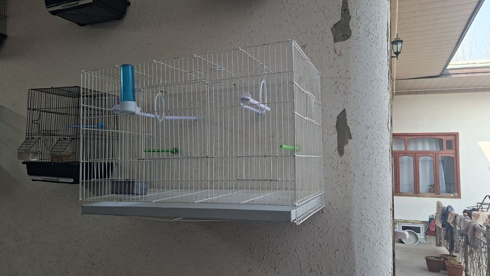 Сава ва конорека