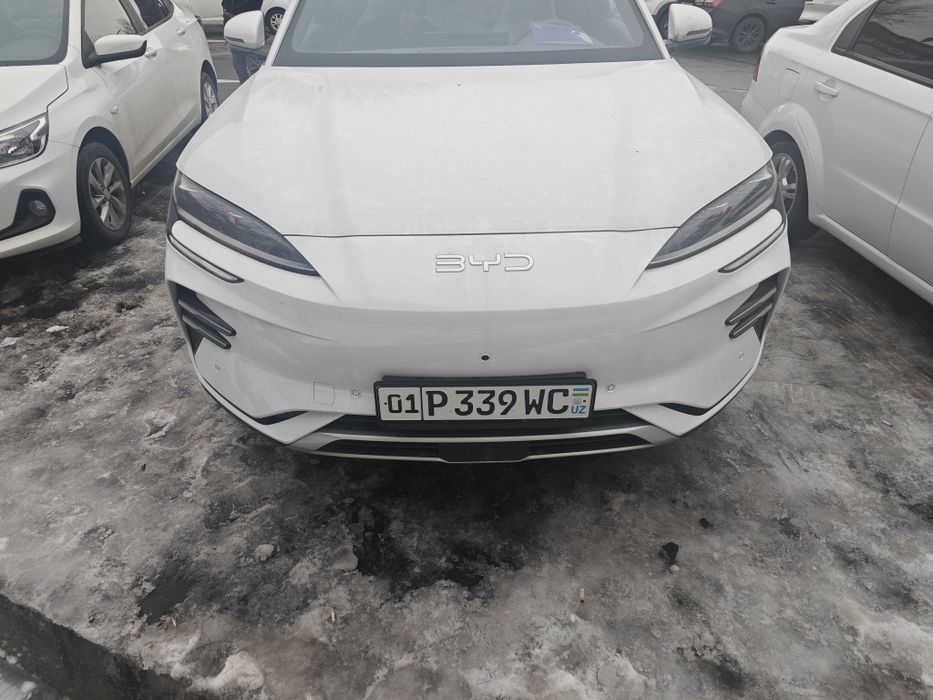 BYD Song Plus EV Champion 2025 — 3