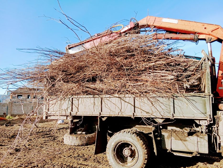 Вывоз мусора и снега , грейфер самогруз .