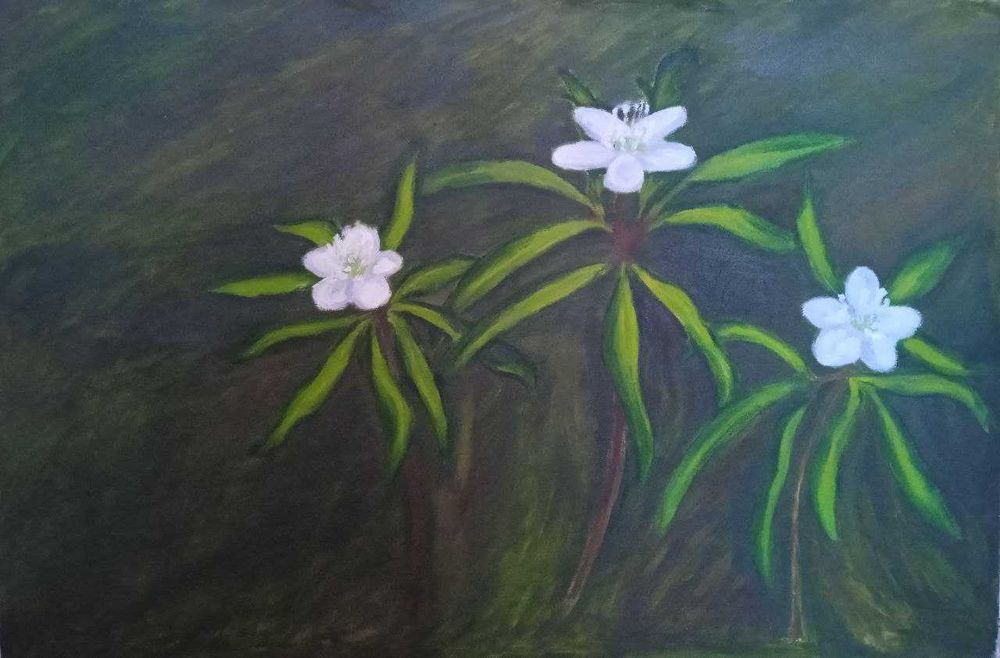 Картины маслом на холсте