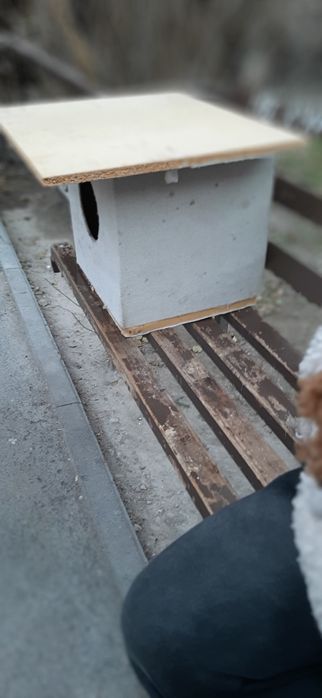 Кошечки домашние протдам Продам домик для кошки или маленькой собачки