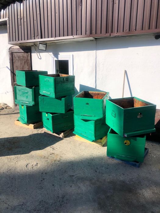 Продам пчелиные ульи