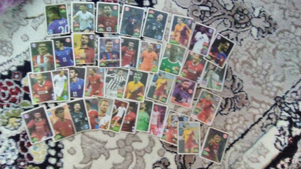 Euro 204 card new