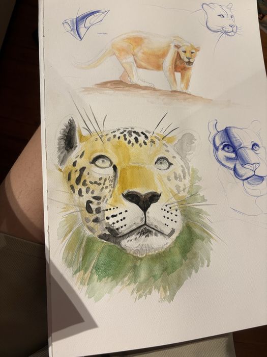 Iti desenez masina preferata!