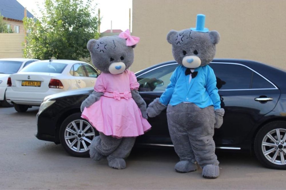 Костюм  Тедди мишки в аренду