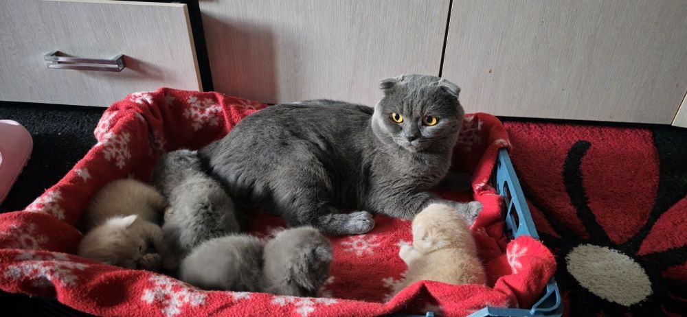 Вязка мальчик ищит девочку