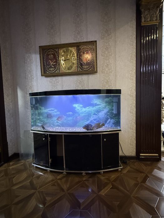 Обслуживание морских и прессных аквариумов,Чистка аквариумов