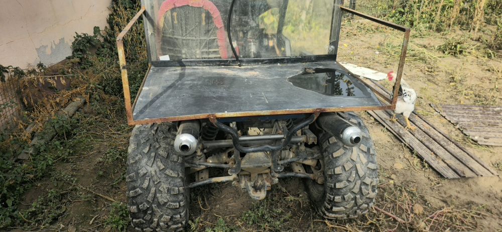 Vand buggy cu motor de cbr