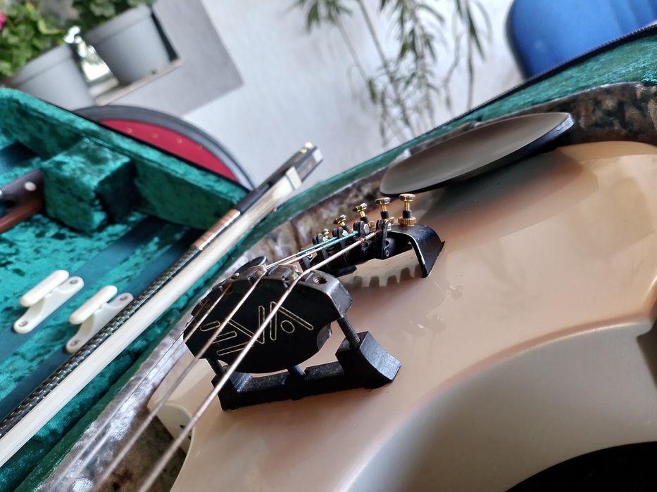 Se vinde o vioara Eva