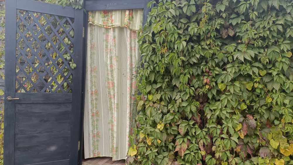 Продам дачу со всеми насаждениями