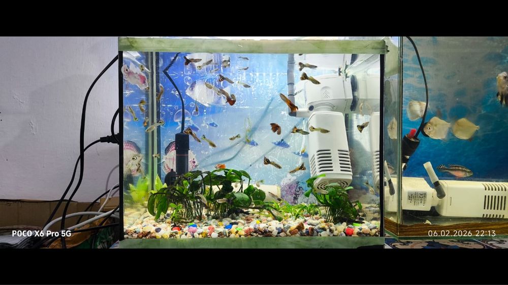 Продам аквариум с рыбками