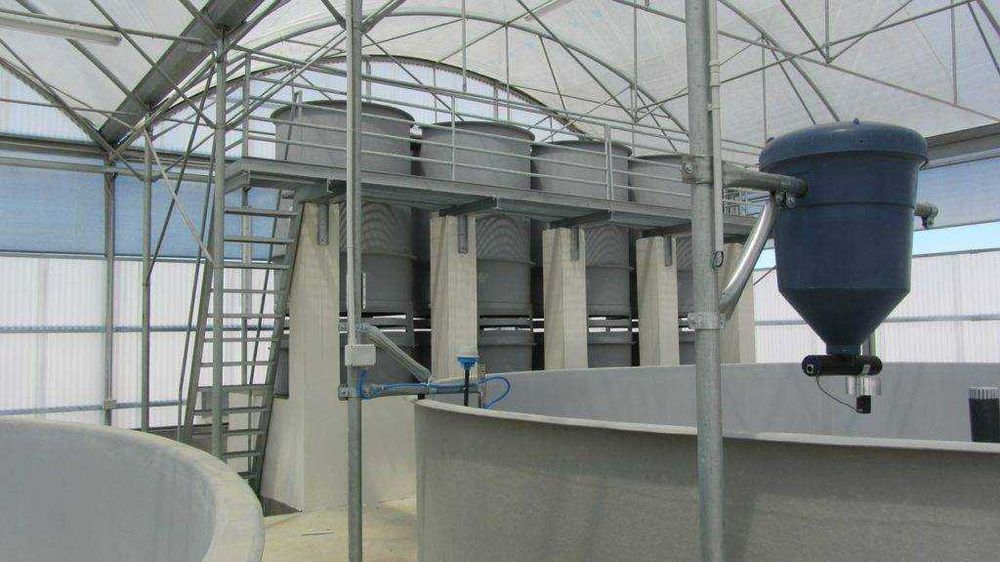 Bazine Piscicole, Rezervoare Piscicole, Ferma Piscicola