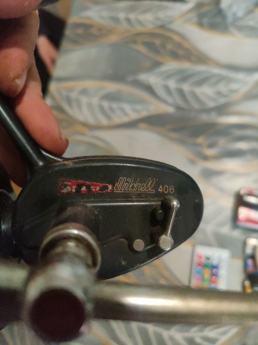 Макари Мичел и Дайва