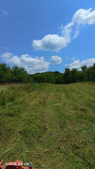 Vând baloti fân rotunzi, mici, 20 kg.