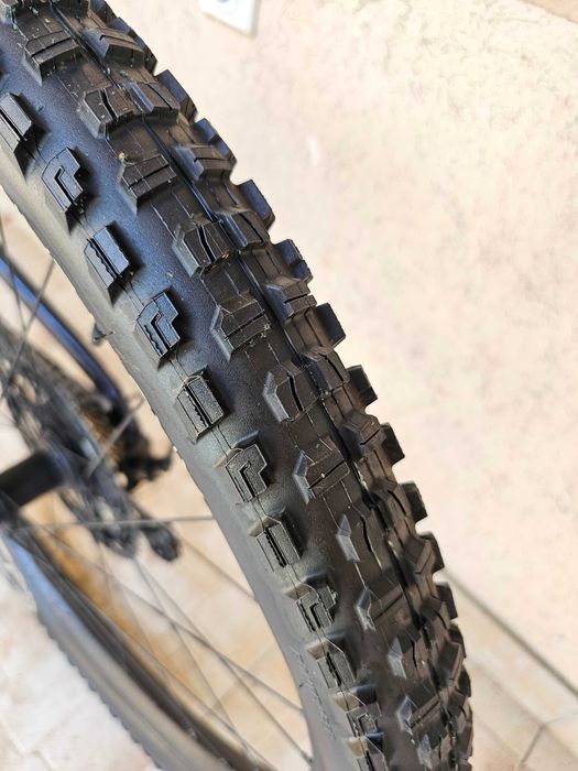 Trek Fuel EX 8 Gen 5 29