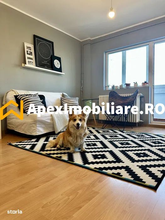 Apartament 2 camere de inchiriat Iancului Bucuresti | ApexImobiliare.r