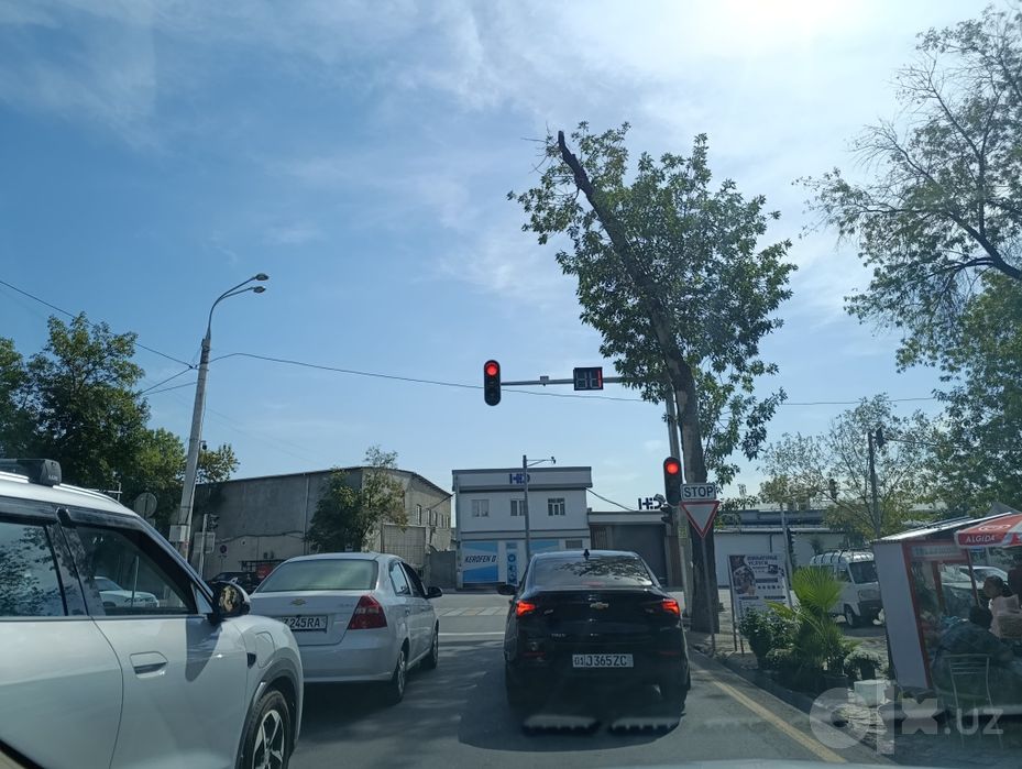Ул.Фитрата Г.Алиева 4.2сот.35000уе