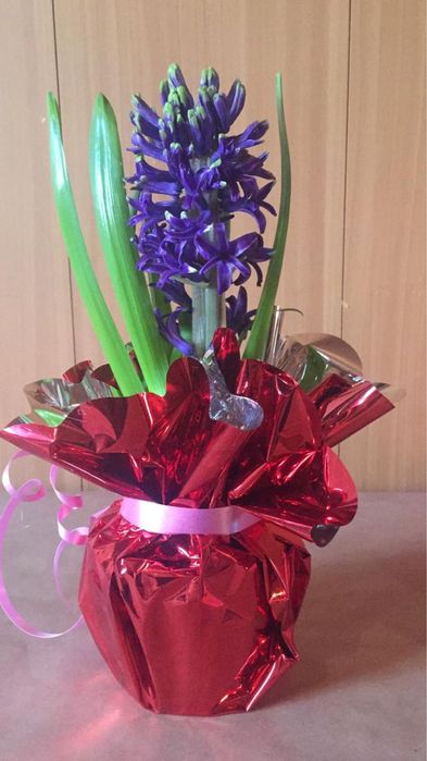 Предзоказ Геоцинт