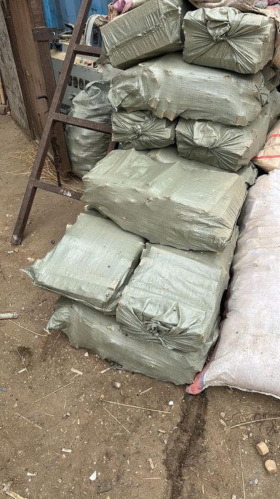 Дрова в мешках! Отын қаппен!