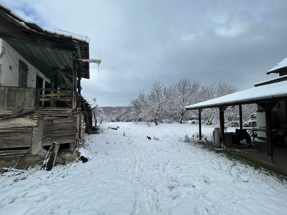 ПРОДАВА имот в с. Бресте, общ. Червен Бряг – ДВЕ КЪЩИ, два двора