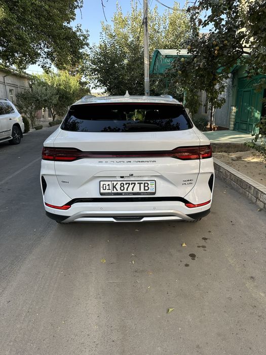 Byd chempion hibrid 150 тали краска тоза