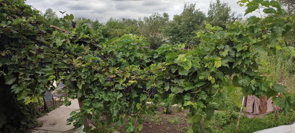 Продам дачу ,район Телецентр