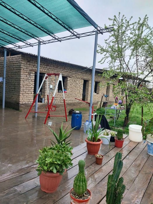 Uy sotiladi iyk ota button kochasi 11sotox 5 honey uy bor