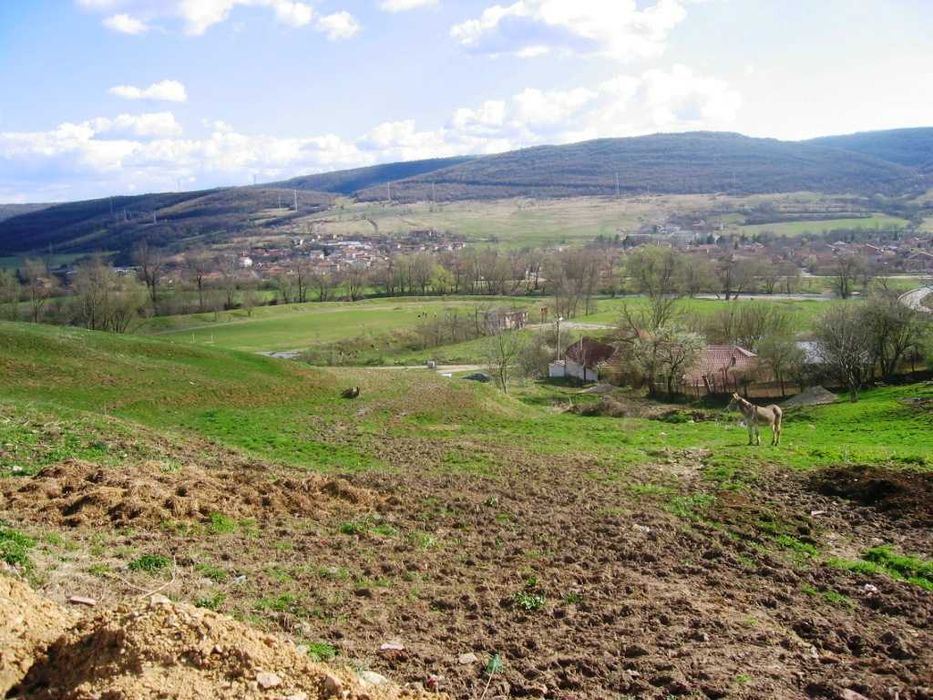 Продава се Парцел в с. Леденик, Област Велико Търново - 1350 кв.м за 31 €/кв.м - Снимка #3