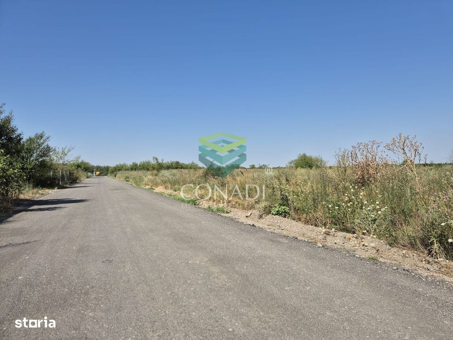Teren de vanzare cu autorizatie pentru 2 hale - Otopeni - 10.000 mp